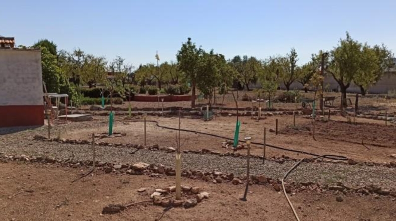 Ciudad Real - Miguelturra - 5000m2