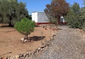 Xalet independent amb terreny en venda a la España, Miguelturra, ref.: TR138409 foto
