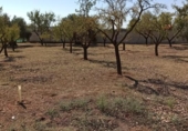 Xalet independent amb terreny en venda a la España, Miguelturra, ref.: TR138409 foto