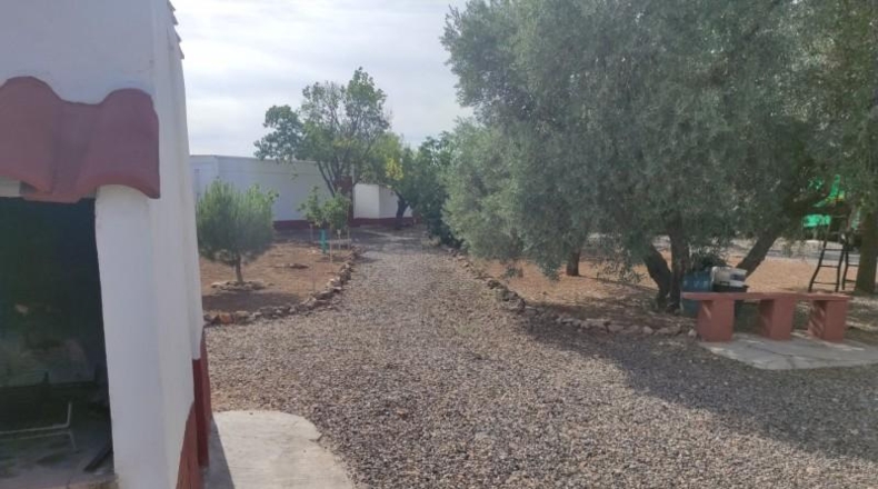 Ciudad Real - Miguelturra - 5000m2