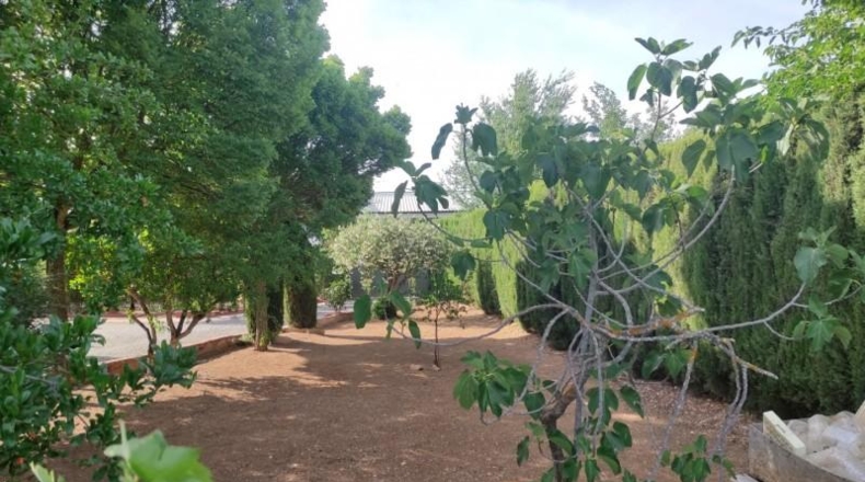 Ciudad Real - Miguelturra - 5000m2