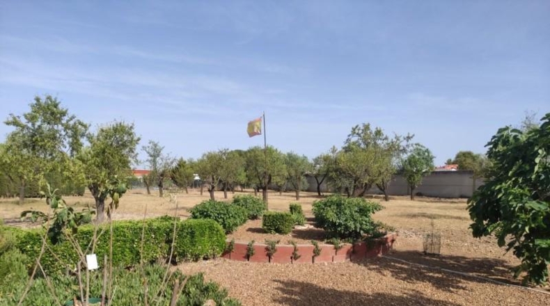 Ciudad Real - Miguelturra - 5000m2