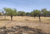 Xalet independent amb terreny en venda a la España, Miguelturra, ref.: TR138409 foto