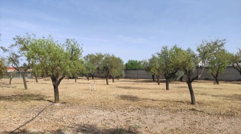 Ciudad Real - Miguelturra - 5000m2