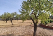 Xalet independent amb terreny en venda a la España, Miguelturra, ref.: TR138409 foto