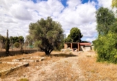 Xalet independent amb terreny en venda a la España, Alacant, ref.: TR354445 foto