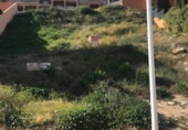 Sòl urbà en venda a la España, Mojácar, ref.: TR175692 foto
