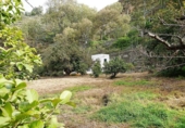 Country house with land for sale on España, Teror, ref: TR156543 photo