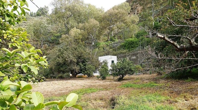 Las Palmas - Teror - 8200m2