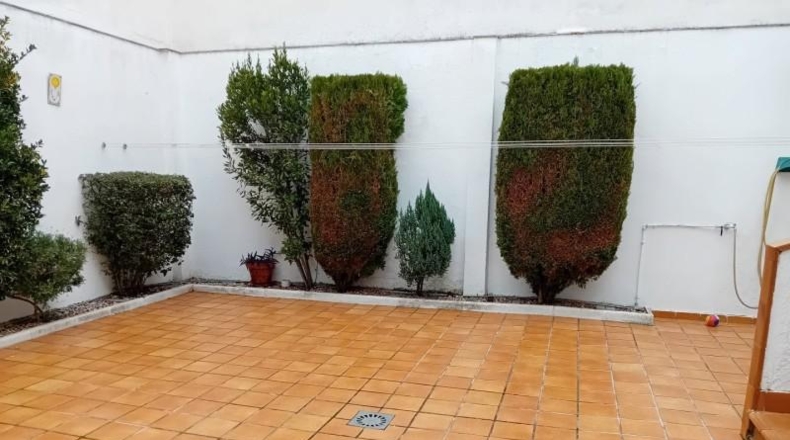 Ciudad Real - Ciudad Real - 240m2