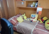 Detached villa with land for sale on España, Ciudad Real, ref: TR382657 photo