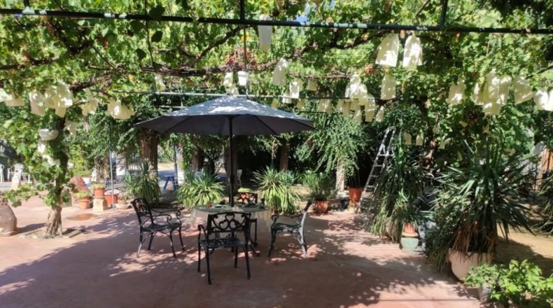 Ciudad Real - Miguelturra - 3900m2