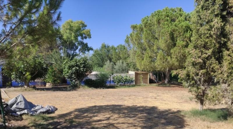 Ciudad Real - Miguelturra - 3900m2