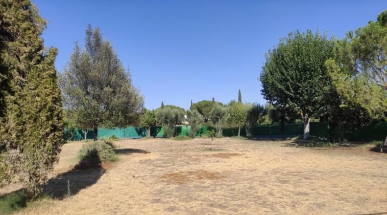 Ciudad Real - Miguelturra - 3900m2