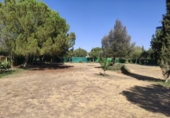 Xalet independent amb terreny en venda a la España, Miguelturra, ref.: TR148850 foto