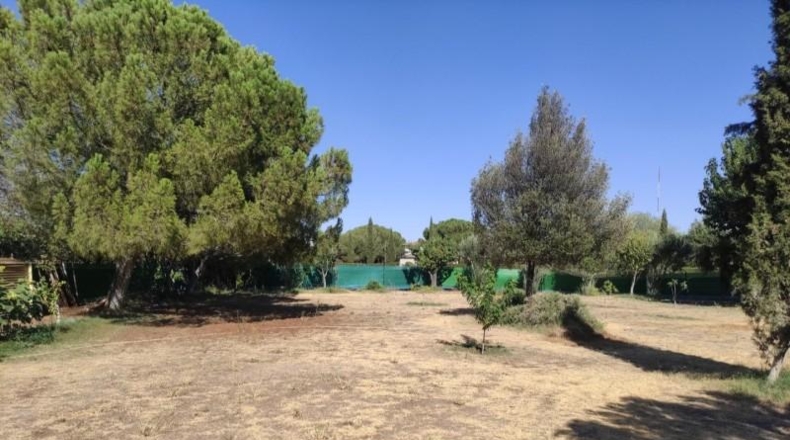 Ciudad Real - Miguelturra - 3900m2