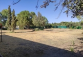 Xalet independent amb terreny en venda a la España, Miguelturra, ref.: TR148850 foto