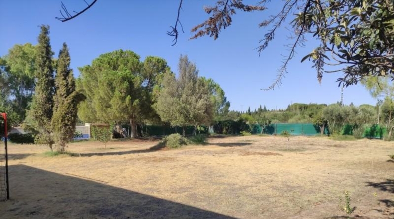 Ciudad Real - Miguelturra - 3900m2