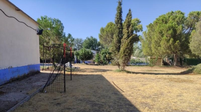 Ciudad Real - Miguelturra - 3900m2