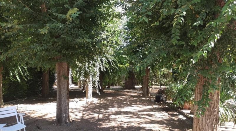 Ciudad Real - Miguelturra - 3900m2