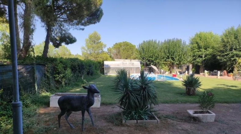 Ciudad Real - Miguelturra - 3900m2