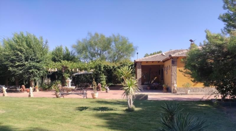 Ciudad Real - Miguelturra - 3900m2