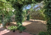 Xalet independent amb terreny en venda a la España, Miguelturra, ref.: TR148850 foto