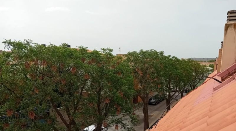Ciudad Real - Ciudad Real - 289m2