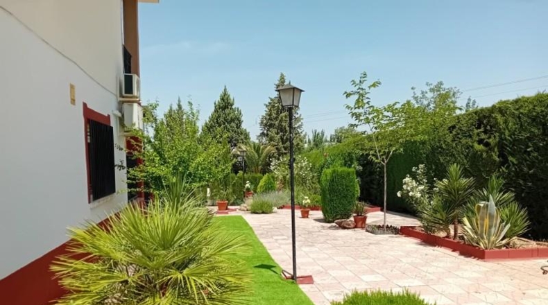 Ciudad Real - Pozuelo de Calatrava - 10000m2