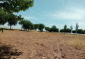 Chalet independiente con terreno en venta en la España, Pozuelo de Calatrava, ref: TR312373 foto