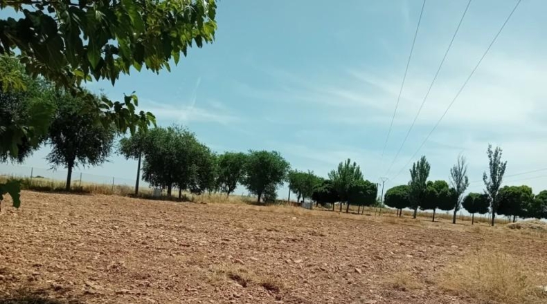 Ciudad Real - Pozuelo de Calatrava - 10000m2