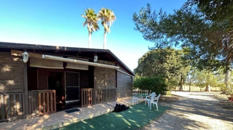Alicante - Orihuela - 16000m2