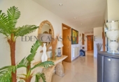 Detached villa with land for sale on España, Elche, ref: TR399655 photo