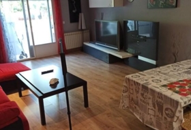 Foto 7