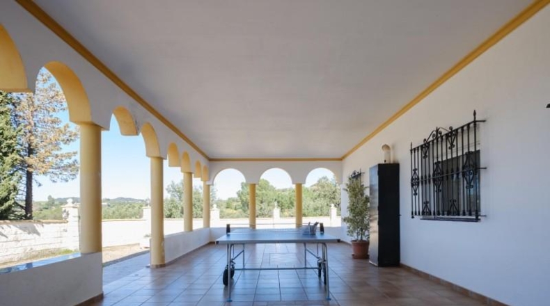 Seville - Lora del Río - 40000m2