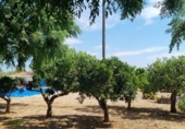 Отдельно стоящий дом с участком на продажу в городе Vinaròs Фото