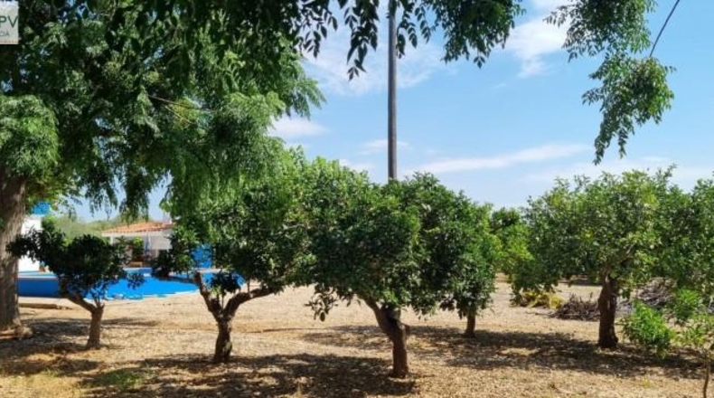 Castellón - Vinaròs - 4900m2