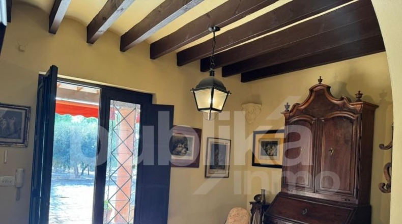 Alicante - Elche - 10100m2