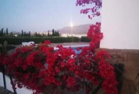 Foto 14