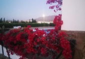 Casa de camp amb terreny en venda a la España, Los Gallardos, ref.: TR277701 foto
