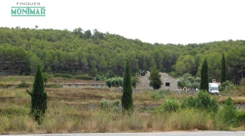 Barcelona - Canyelles - 156887m2