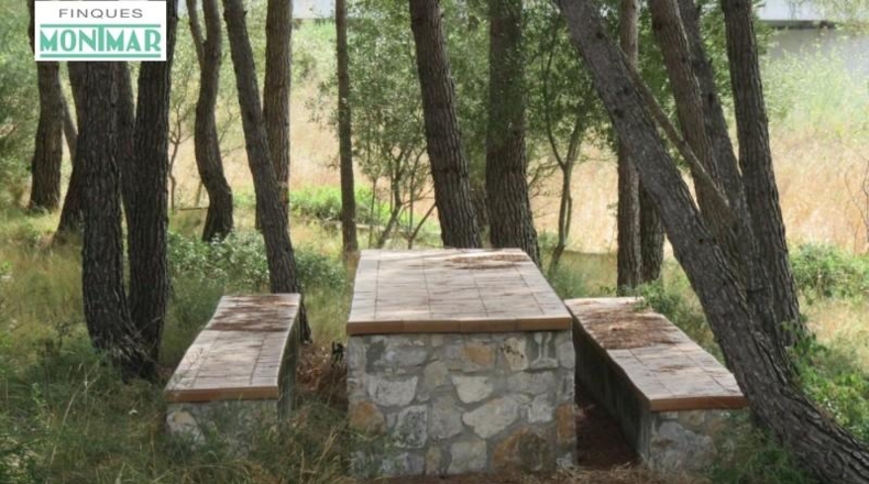Barcelona - Canyelles - 156887m2