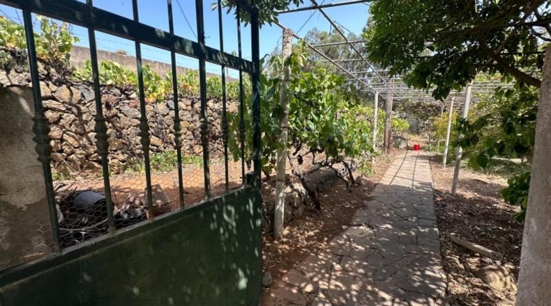 Santa Cruz de Tenerife - San Cristóbal de La Laguna - 5942m2