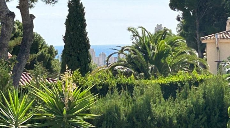 Alicante - Benidorm - 700m2