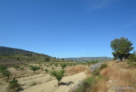 Orihuela 407000&nbsp;m²