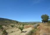 Non-developable land for sale on España, Orihuela, ref: TR280561 photo