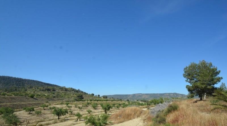 Аликанте - Orihuela - 407000m2