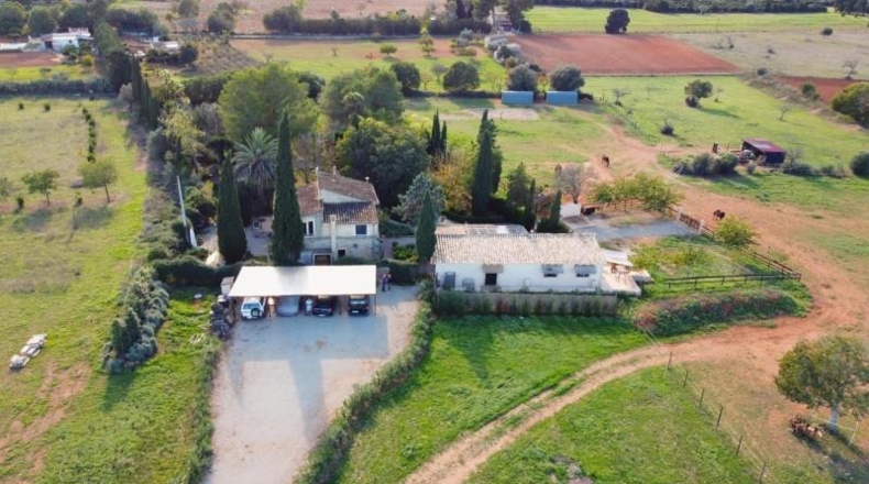 Málaga - Sedella - 15321m2