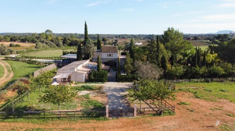 Málaga - Sedella - 15321m2