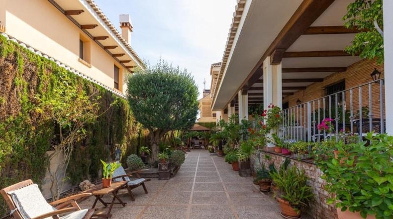 Alicante - Torrevella - 800m2
